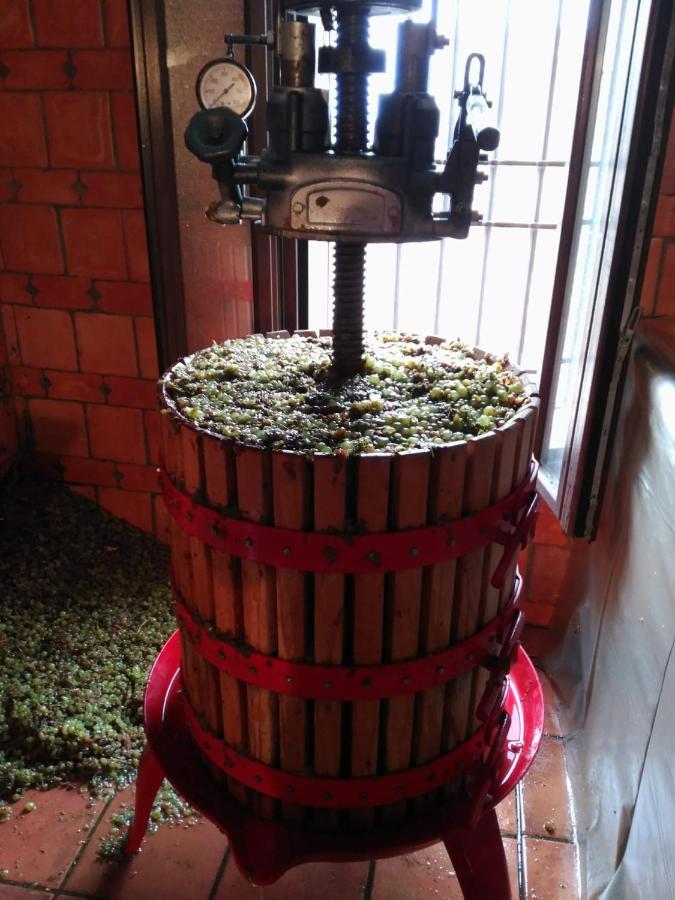 Casa Rural La Bodega, Ofrece Cata De Vino Gratis Horche Exterior foto